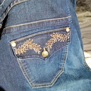 Plus Size Embroidered Jeans